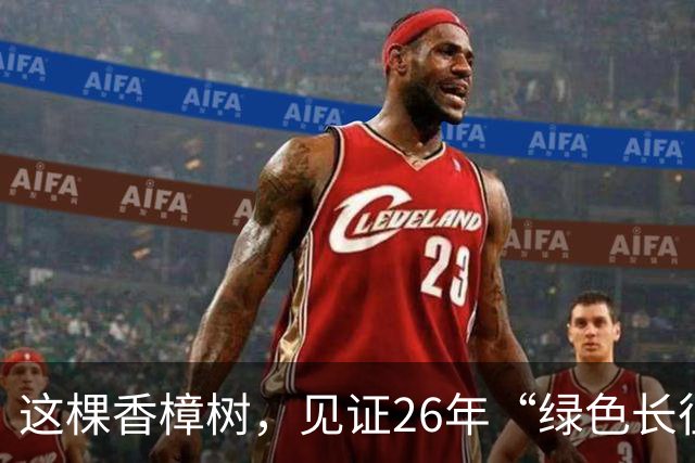 这棵香樟树，见证26年“绿色长征”